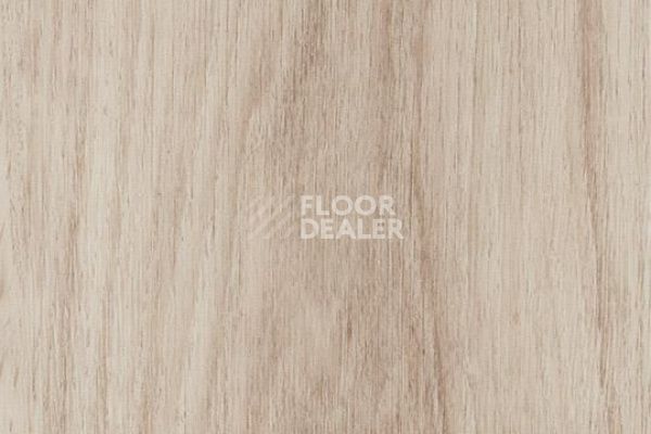 Плитка ПВХ Forbo Allura Decibel 8WAU01-3WAU01 pale authentic oak фото 1 | FLOORDEALER